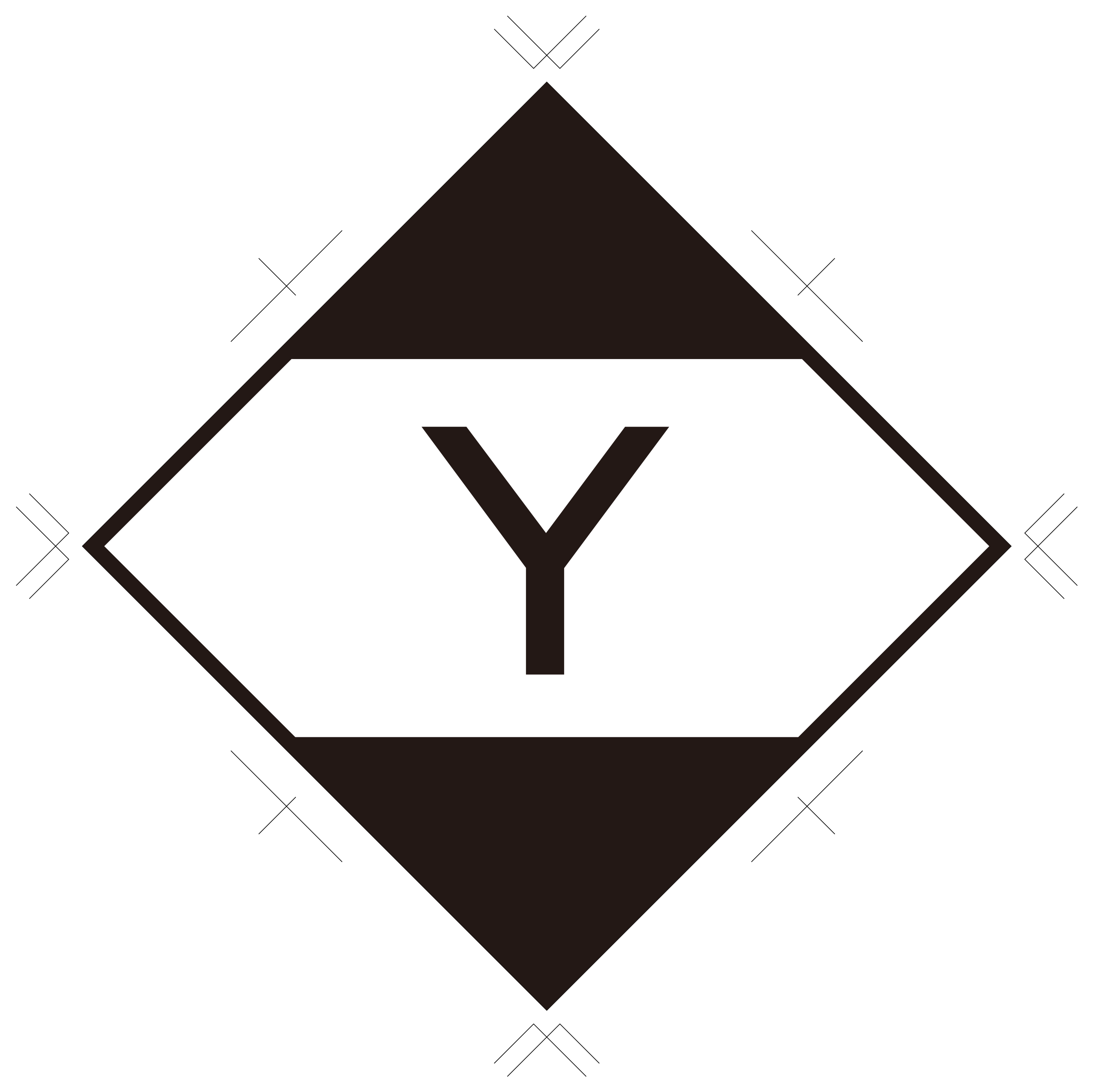 有限数量空运标记（带Y）